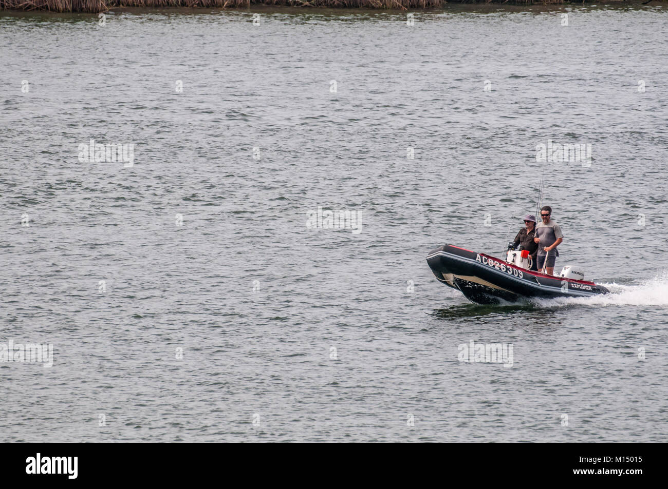 Bateau naviguant sur le fleuve Ebro avec les touristes , Delta de l'Ebre, Tarragone, Catalogne, Espagne Banque D'Images