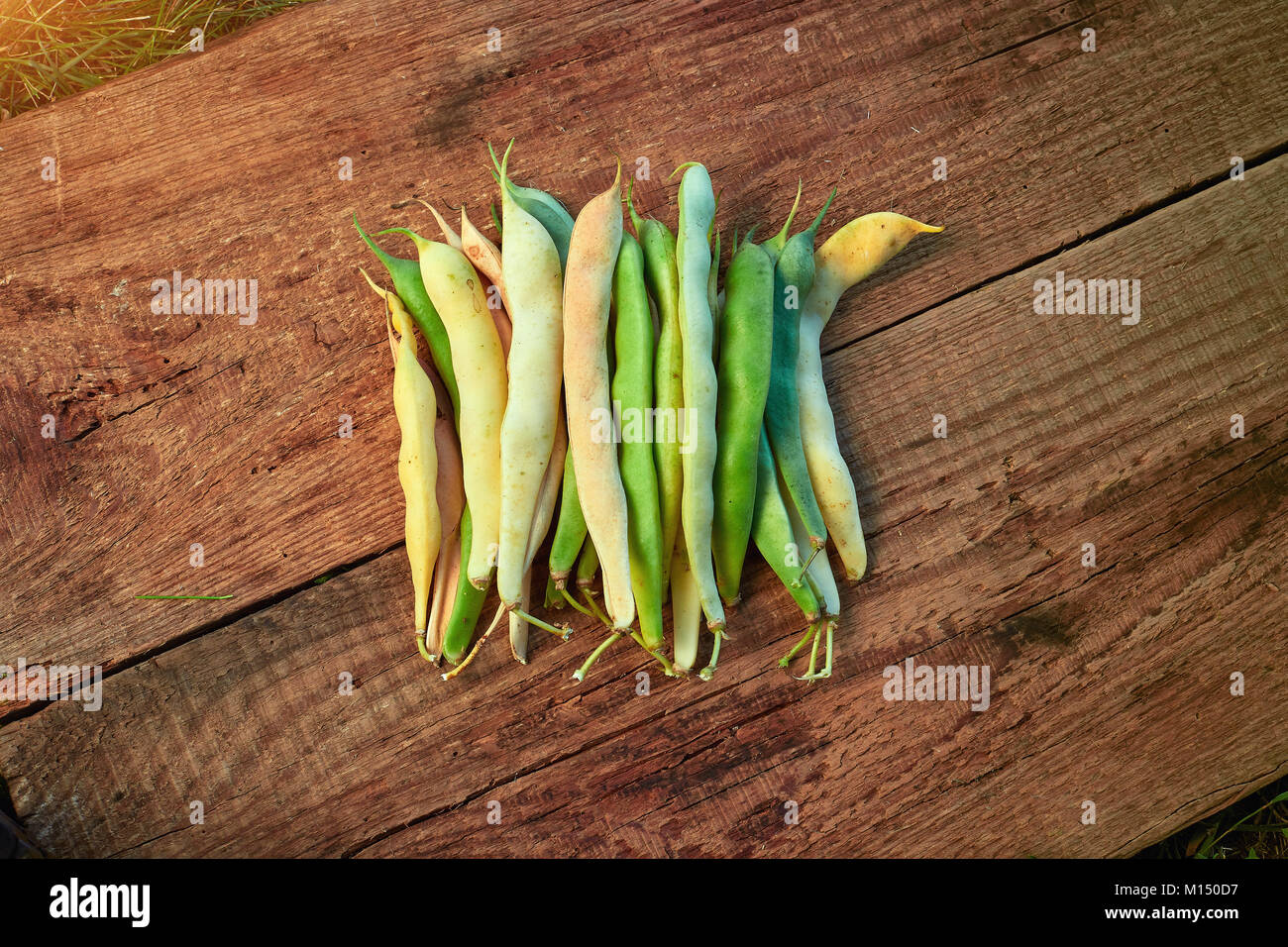Alimentation saine. Haricots verts, vert et jaune matières les asperges. Gros plan sur une table en bois. Yardlong bean. L'espace de copie Banque D'Images