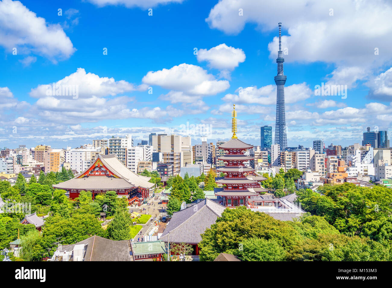 Vue aérienne de la ville de Tokyo avec temple Senso Banque D'Images