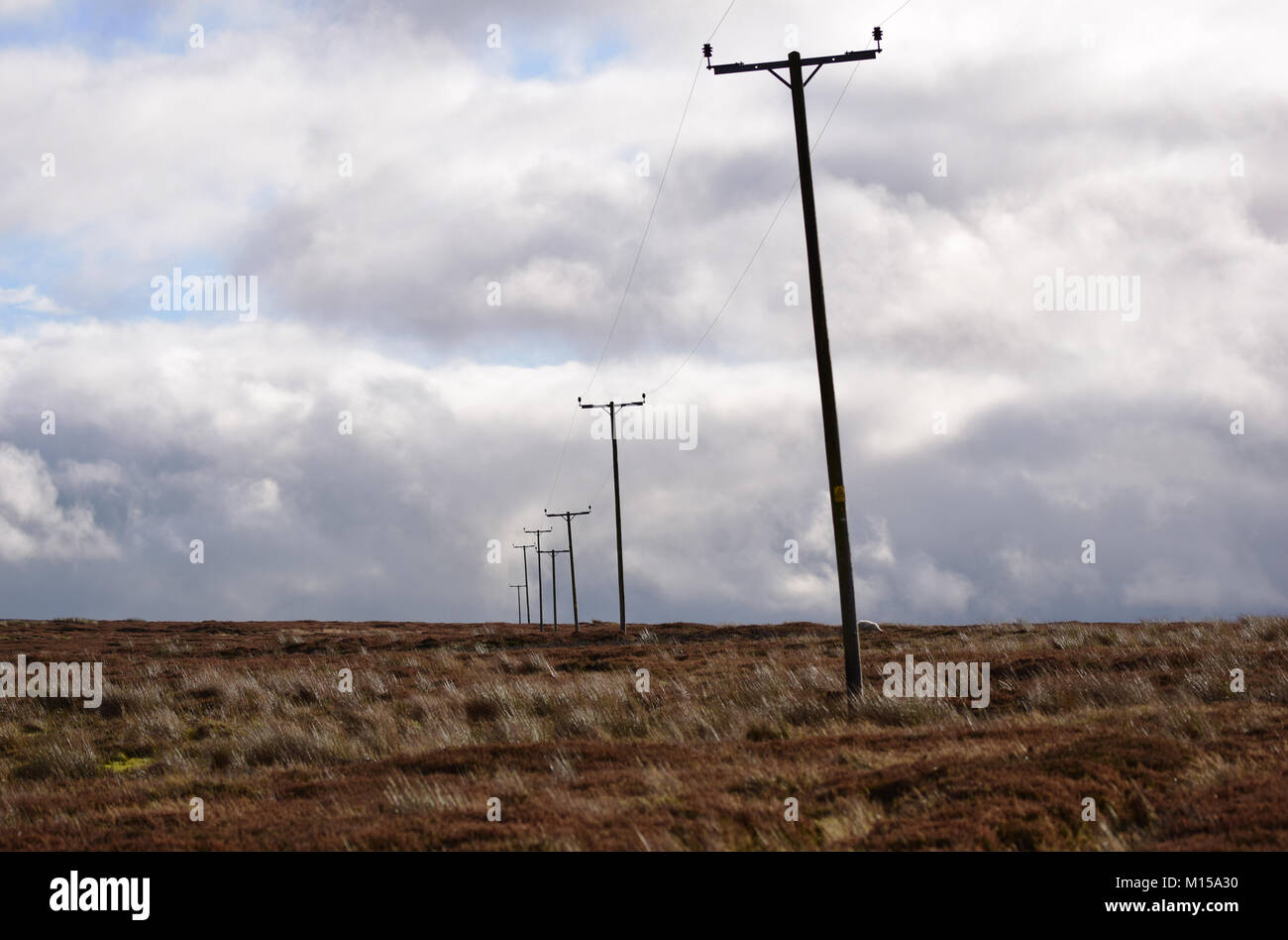 Dans dissappearing pls télégraphe de travers la distance à travers la lande Banque D'Images