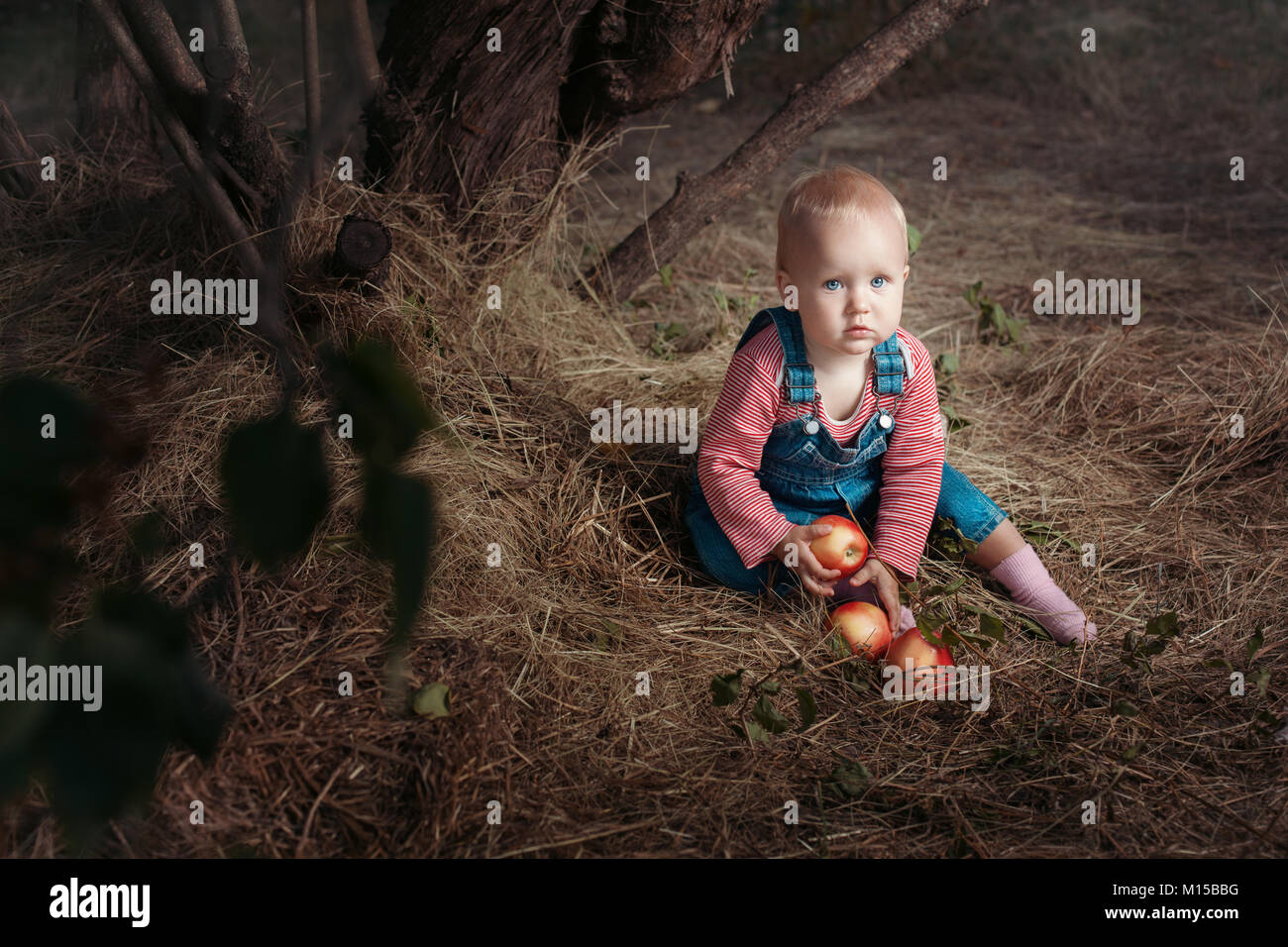 Petite fille aux pommes assis sous un arbre. Banque D'Images