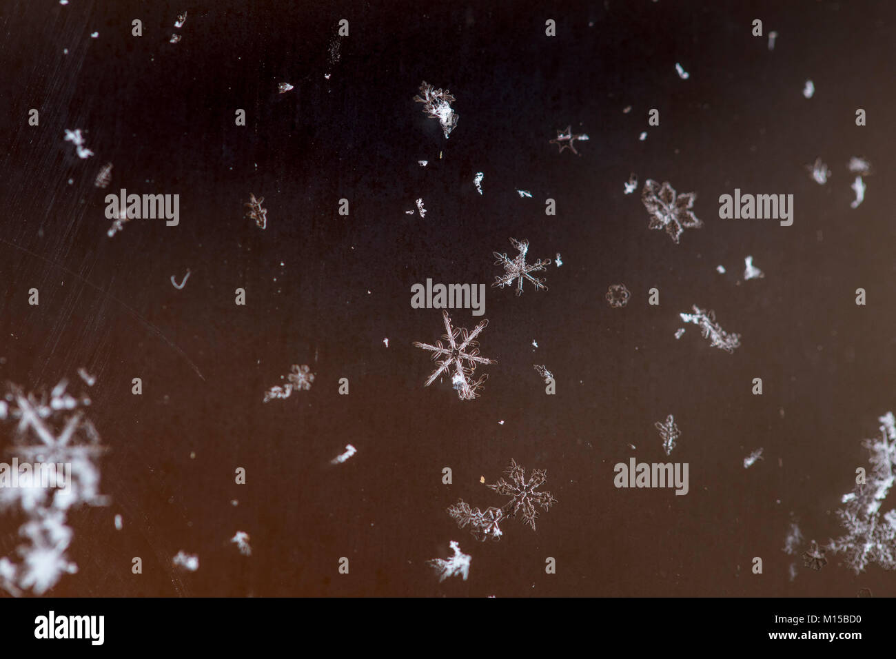 MAYNOOTH, ONTARIO, CANADA - 2 janvier 2018 : flocons sur un panneau de verre de la fenêtre. ( Ryan Carter ) Banque D'Images