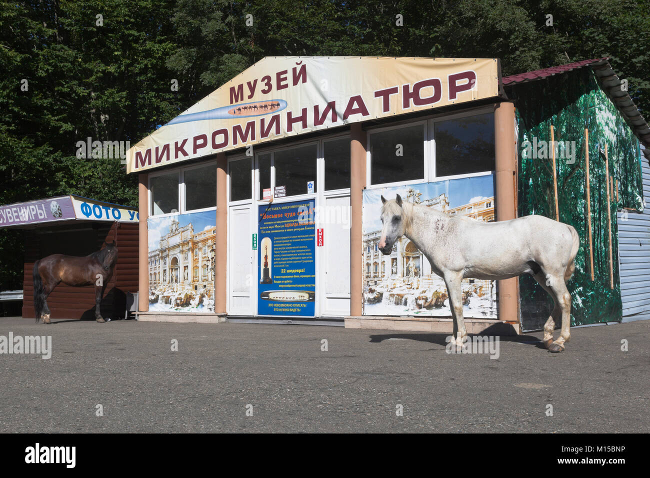 Sotchi, Hosta District, région de Krasnodar, Russie - le 14 juillet 2016 : Les chevaux se promener près du Musée des miniatures sur la grande montagne d'Ahun à Hosta d Banque D'Images