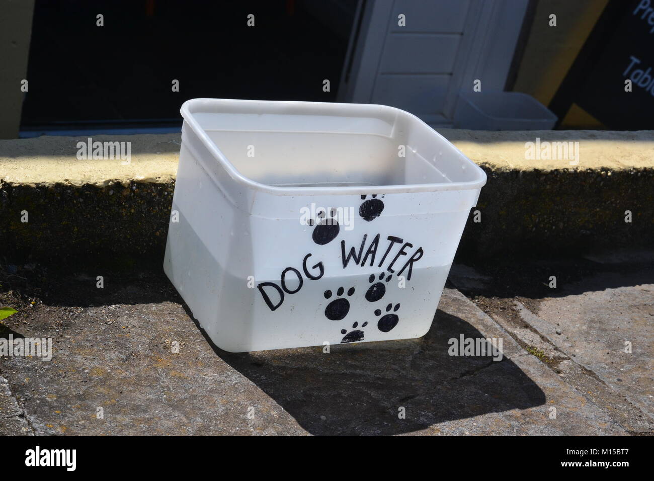 Bol d'eau pour chiens au café, Lizard point sur la péninsule de Lizard, Cornwall, Angleterre, Royaume-Uni. Banque D'Images