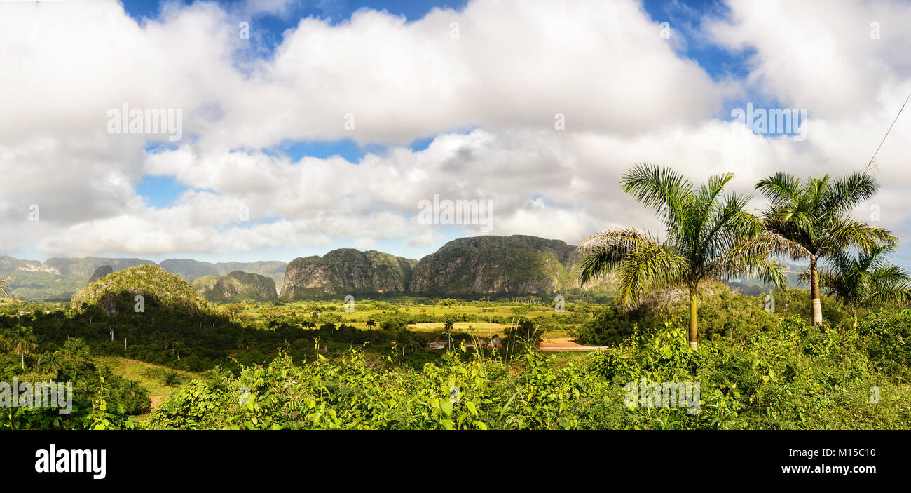 Panorama de la Vallée de Vinales avec les Mogotes et palmiers Banque D'Images