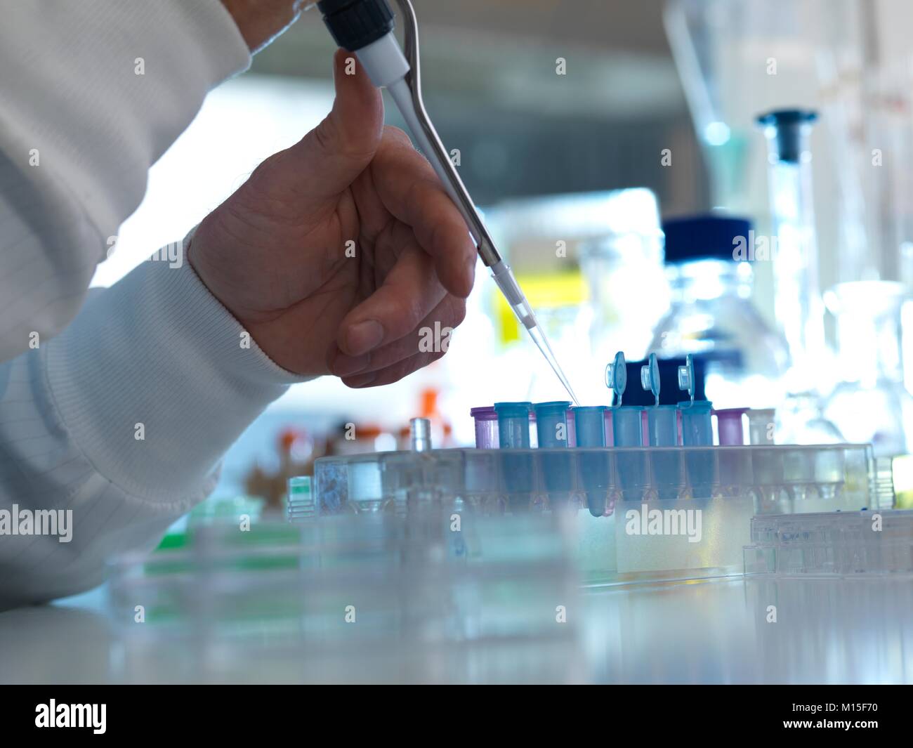 Parution du modèle. La recherche biochimique. Les échantillons dans des tubes de pipetage chercheur prêt pour les essais en laboratoire. Banque D'Images