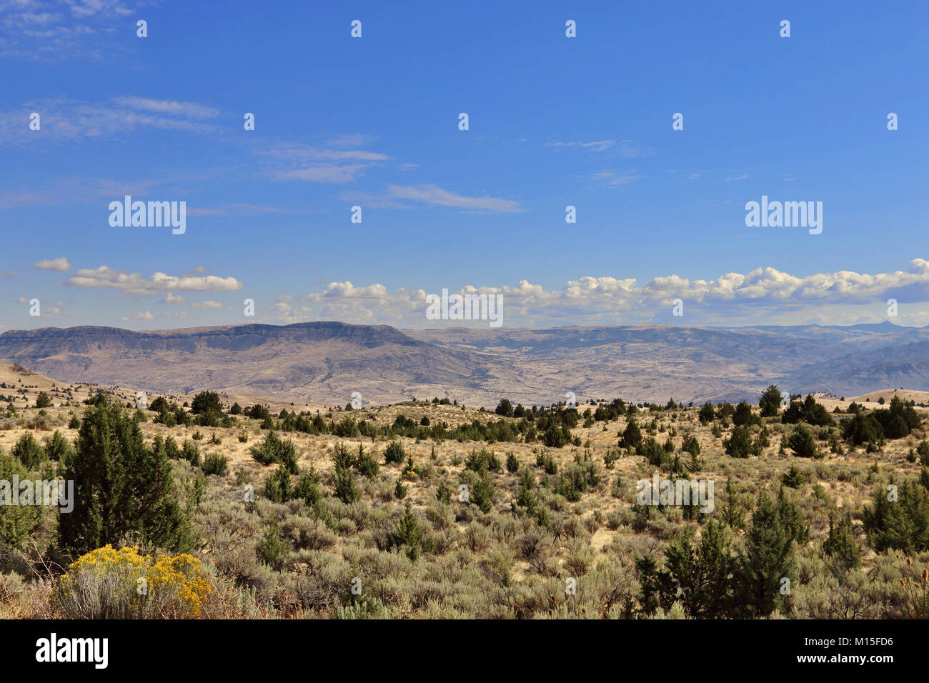 La vue vers l'est des buttes dans Wasco Comté (Oregon). John Day Fossil d'appoint peut être vu dans la distance. Banque D'Images