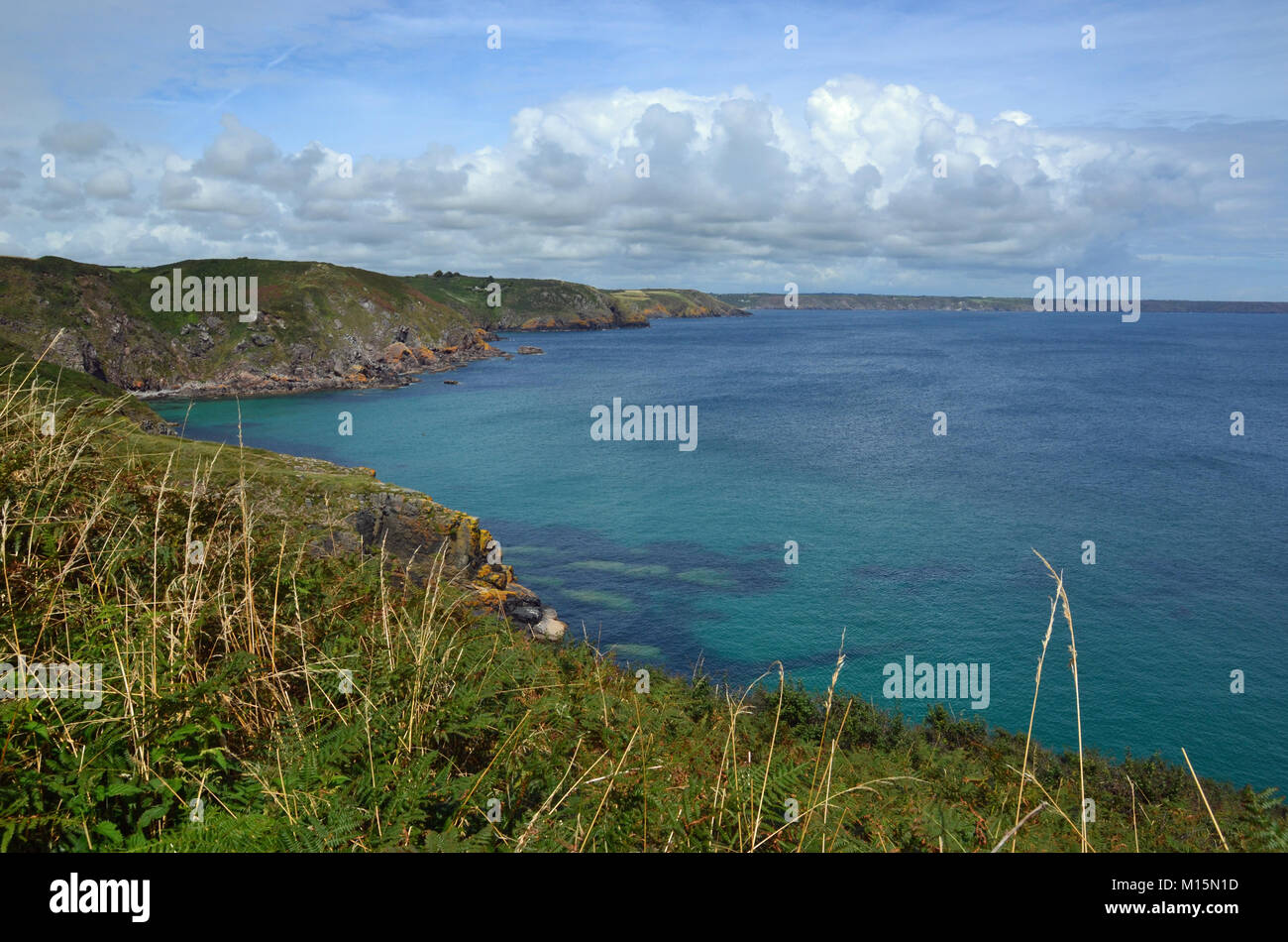 Vue sur la mer et la côte du sentier sur la péninsule de Lizard Point près de la basse, Cornwall, England, UK. Banque D'Images