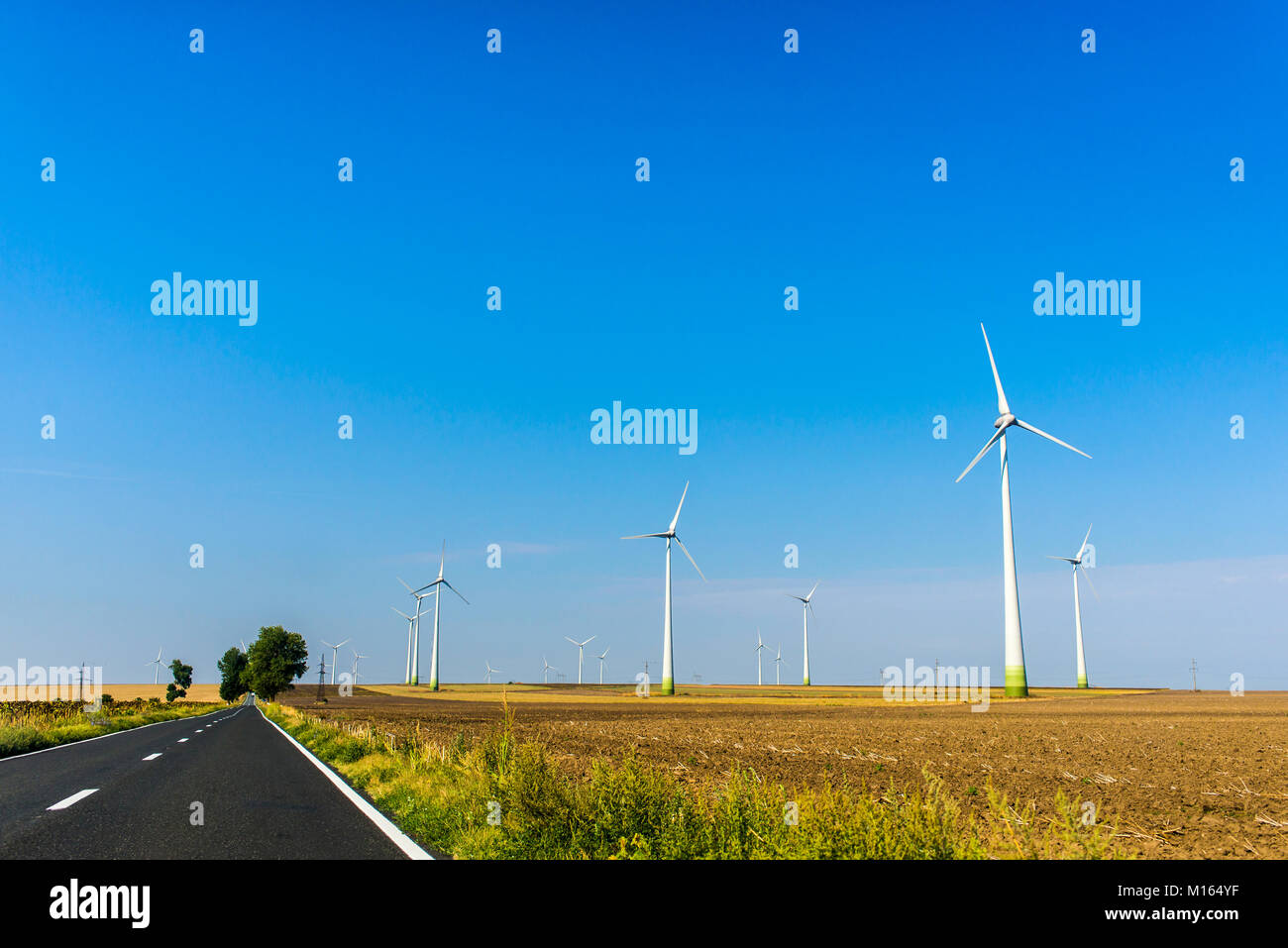 Les moulins à vent près de la route pour la production d'énergie renouvelable à partir de sources d'énergie alternatives comme l'énergie éolienne Banque D'Images