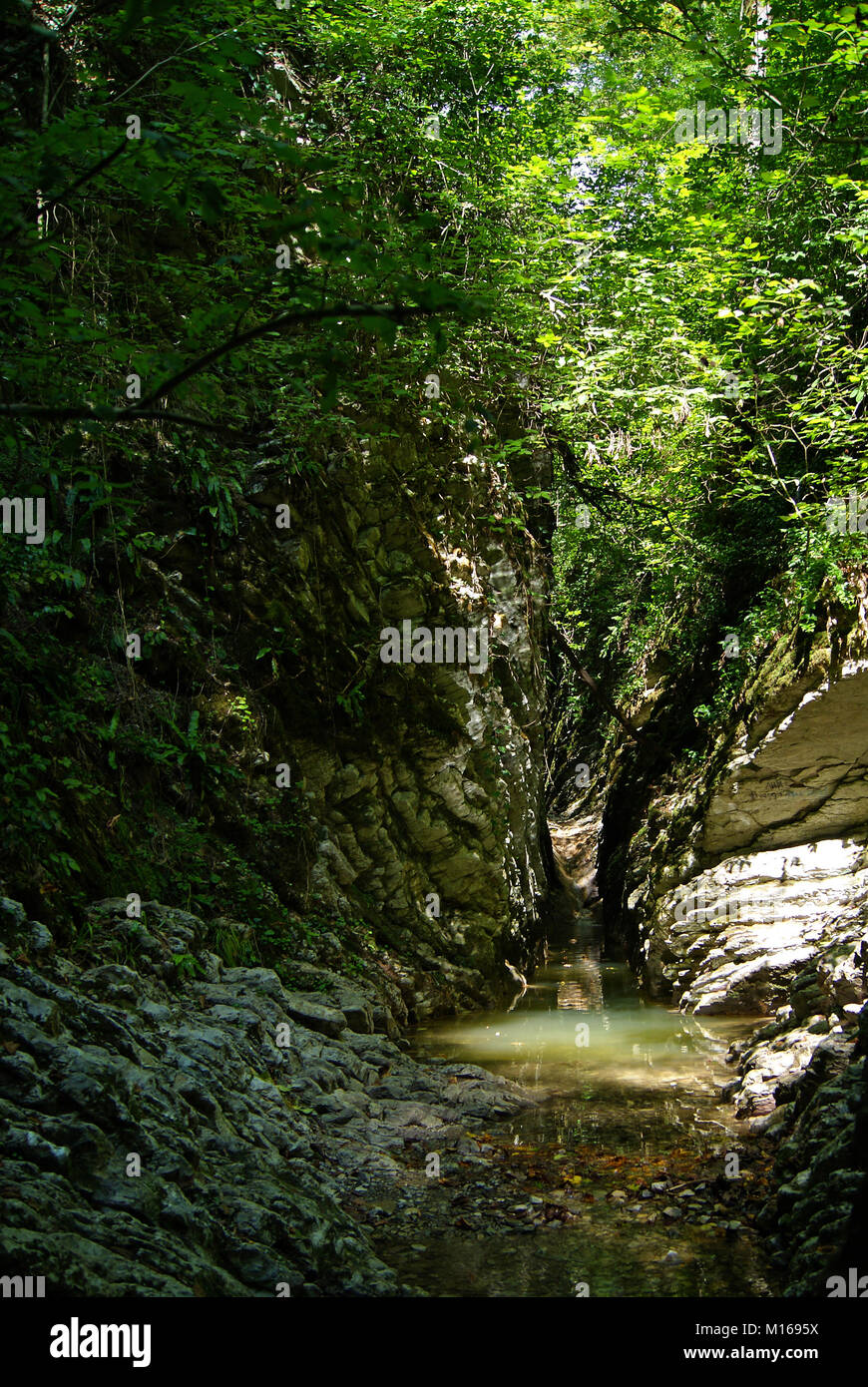 Un étroit canyon pierre ombragé d'un ruisseau dans une forêt tropicale, avec la lumière du soleil percent le feuillage dense Banque D'Images