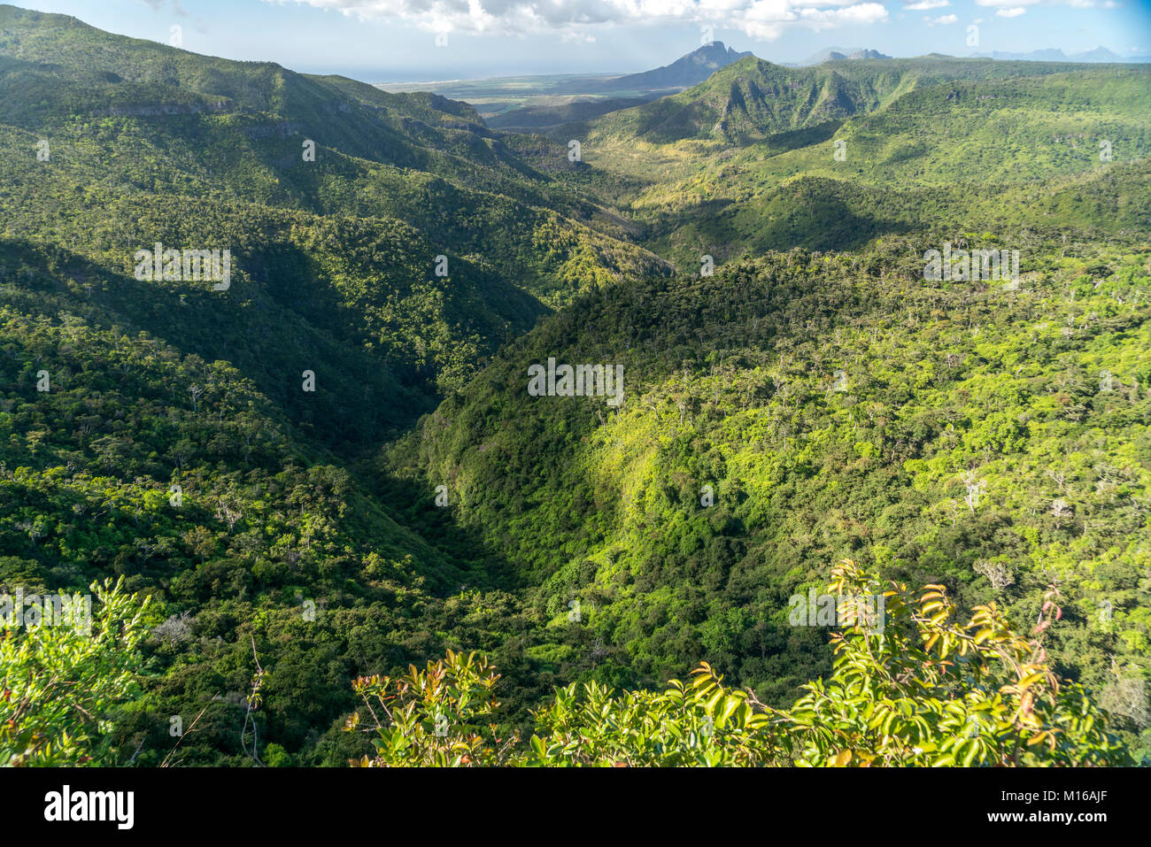 Vue sur la dans le Parc National des de la rivière Noire, Ile Maurice Photo Stock