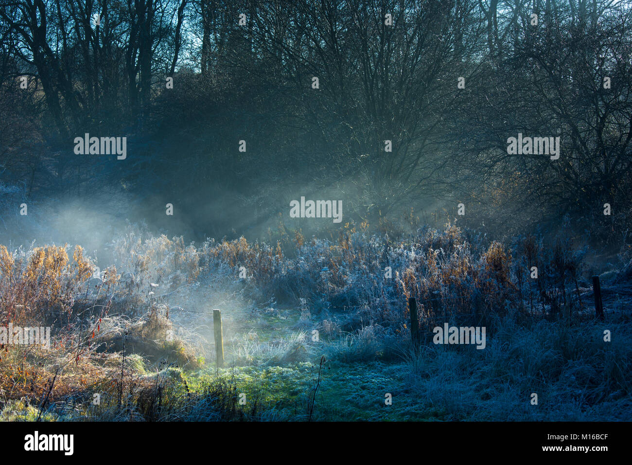 Rayons de soleil sur la brume du matin - hiver type misty et frosty landscape scene à Swinbrook, les Cotswolds, England, UK Banque D'Images