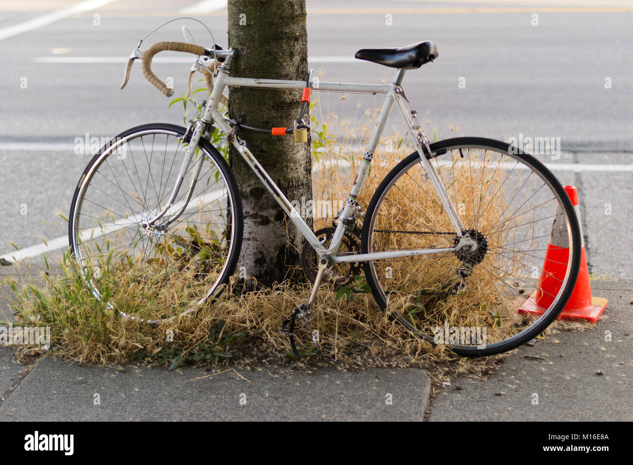 Vieux vélo de course appuyé contre arbre. Banque D'Images
