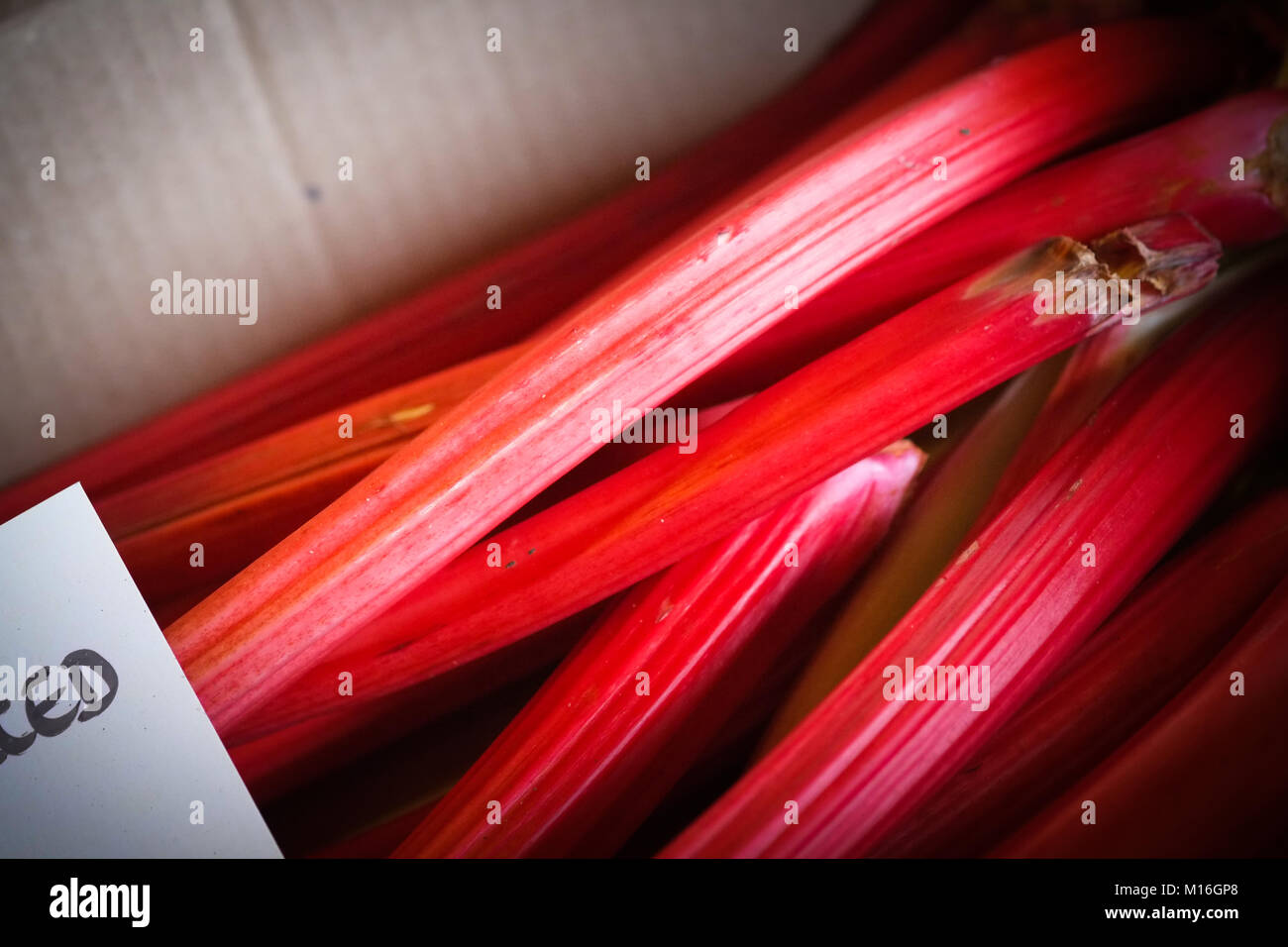 Yorkshire rhubarb en vente Banque D'Images