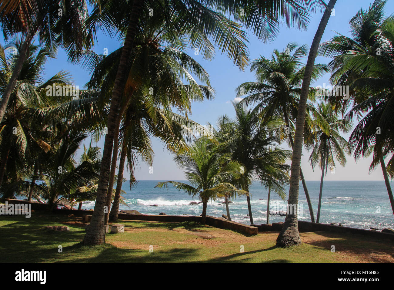 Côte du Sri Lanka Banque D'Images