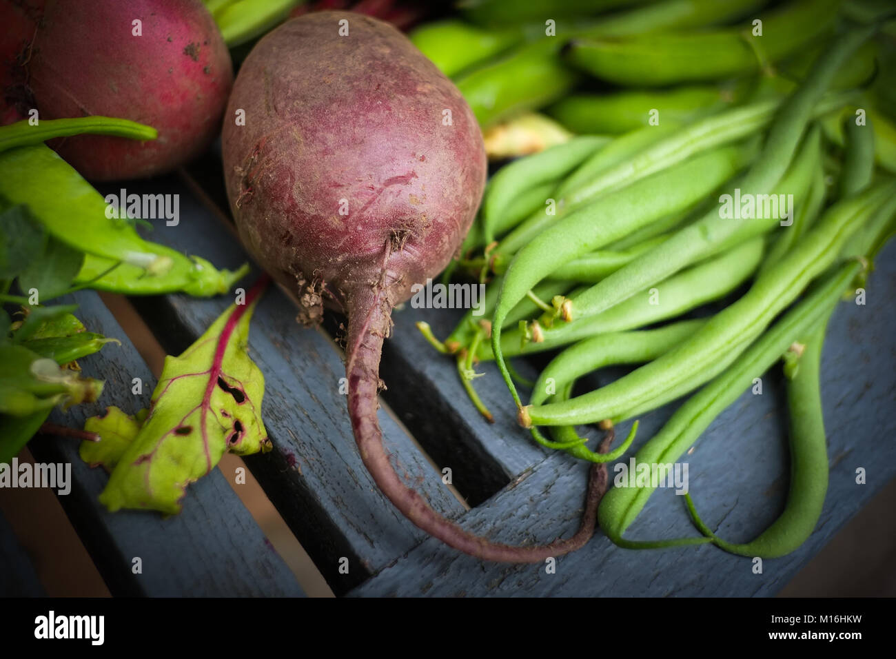 Les légumes d'un allotissement en anglais. Un mode de vie durable, un minimum de kilomètres alimentaires, produits bio, de saison, frais, manger des aliments cultivés sur place. Banque D'Images