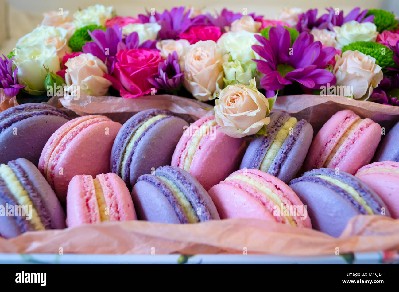 Gateau Macaron Francais Violet Et Rose Macarons Dans Une Boite Avec Des Fleurs Sur Le Lit Photo Stock Alamy Gateau Macaron Francais Violet Et Rose Macarons Dans Une Boite Avec Des Fleurs Sur Le Lit Photo Stock Alamy