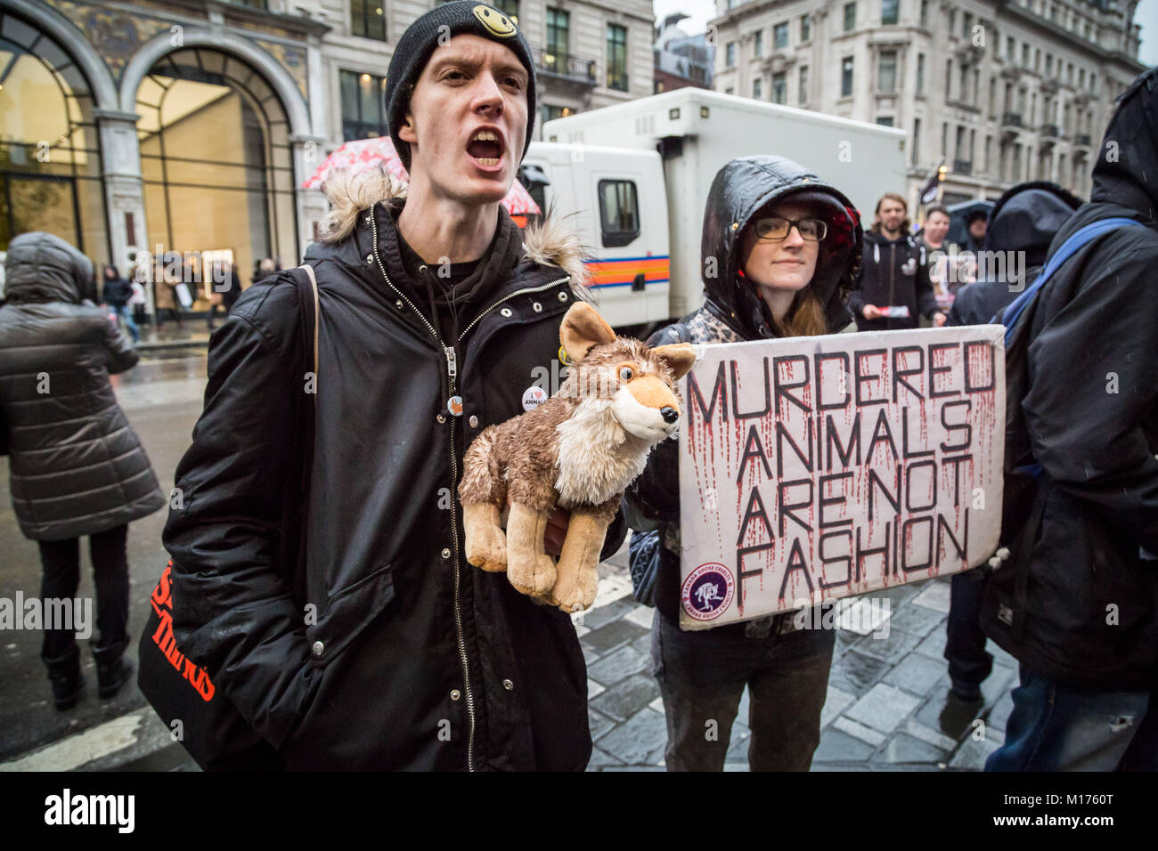 Canada goose protest Banque de photographies et d'images à haute résolution  - Alamy