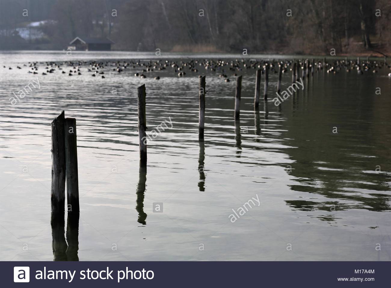 Une vue sur le Lac de Starnberg au sud de Munich en Bavière, Allemagne, un jour d'hiver. Banque D'Images