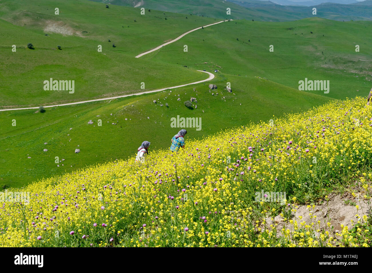 Deux femmes dans les champs près de la Besh Barmag ou cinq doigts Mountain, près de Bakou, en Azerbaïdjan. Banque D'Images