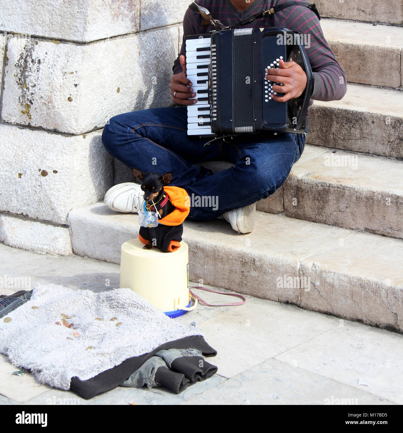 Lisbonne, Portugal Circa.Avril 2014.Jeune homme jouant l'accordéon avec son petit chien tenant dans sa bouche un panier d'argent. Banque D'Images