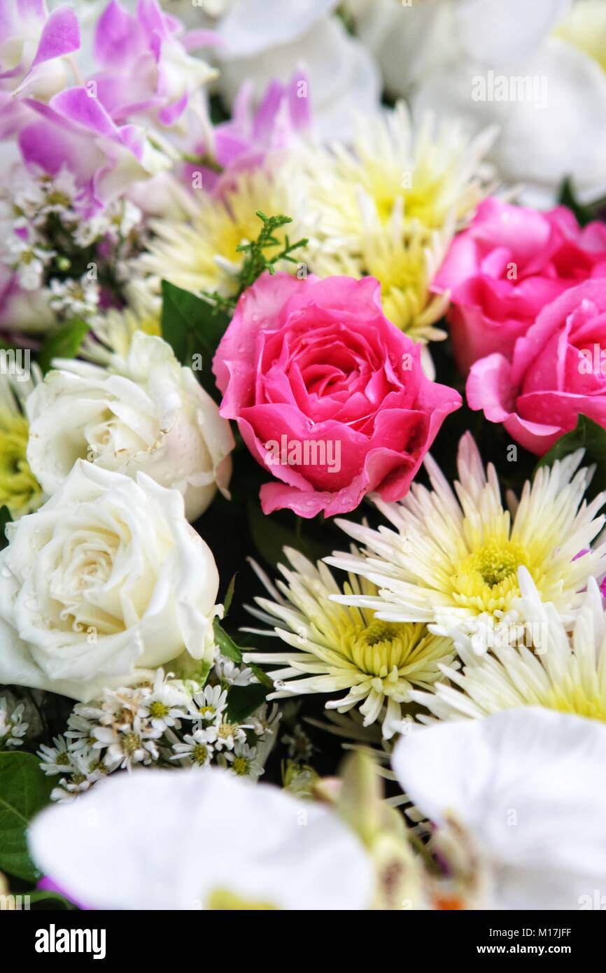 Fond De Fleurs De Mariage Rose Fleur Rose Et Blanc Banque D