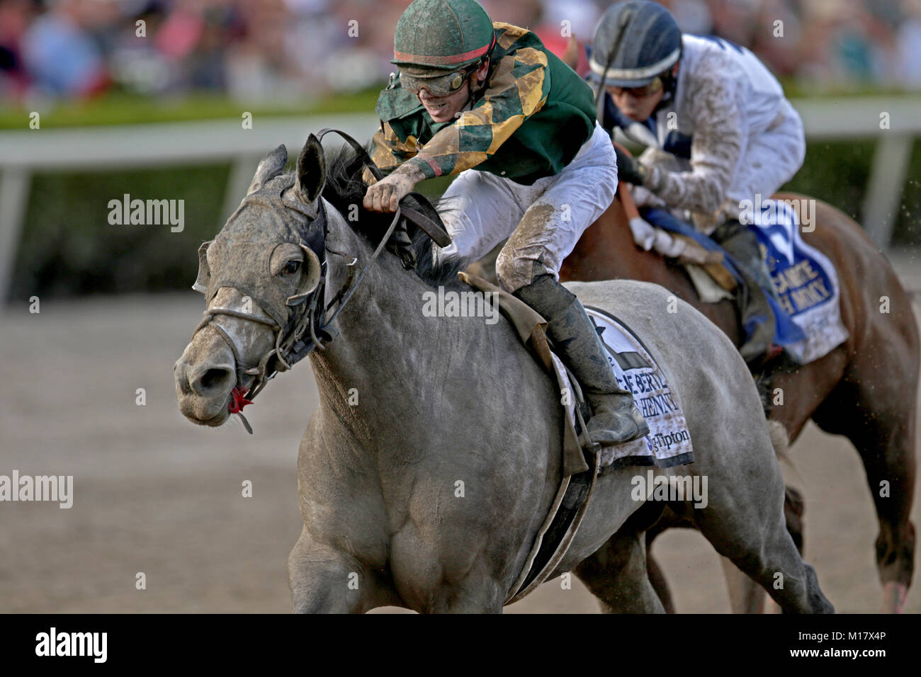 Hallandale, Floride, USA. 27 Jan, 2018. Gaffalione cheval Jockey Tyler et la Jordanie Henny entrer dans la ligne d'arrivée à la Coupe du Monde de Pegasus Invitational à Hallandale Beach, Janvier 27, 2018. John McCall, South Florida Sun Sentinel : Crédit Sun-Sentinel/ZUMA/Alamy Fil Live News Banque D'Images