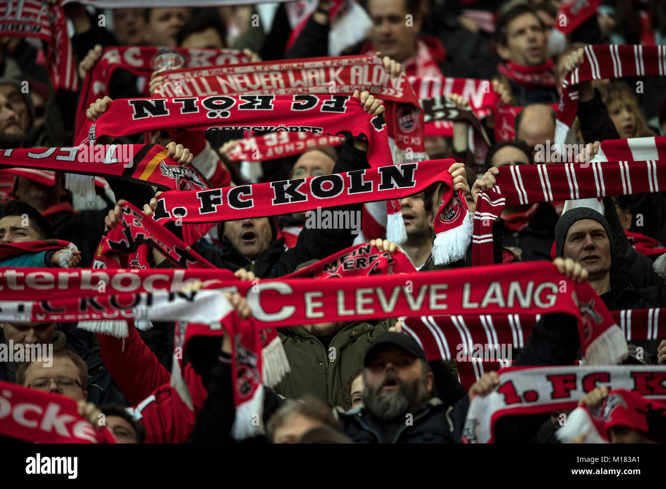 Cologne fans chanter et contenir jusqu'écharpes avant de la Bundesliga match de football entre 1. FC Cologne et FC Augsburg le stade RheinEnergieStadion à Cologne, Allemagne, 27 janvier 2018. Photo : Federico Gambarini/dpa Banque D'Images