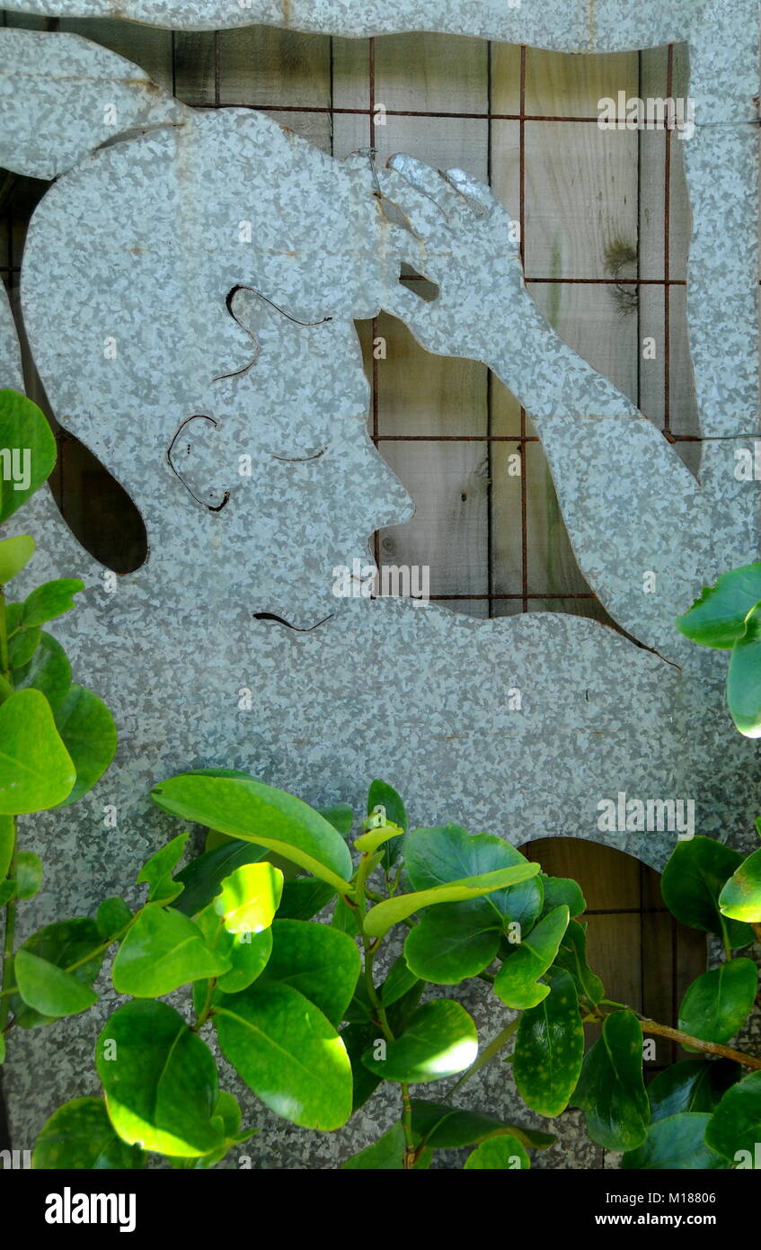 Un groupe de métal de la tôle galvanisée, avec NZ Griselinia littoralis (kapuka dicotylédones), formés d'entourer le bord. Artwork par themichellereid Banque D'Images
