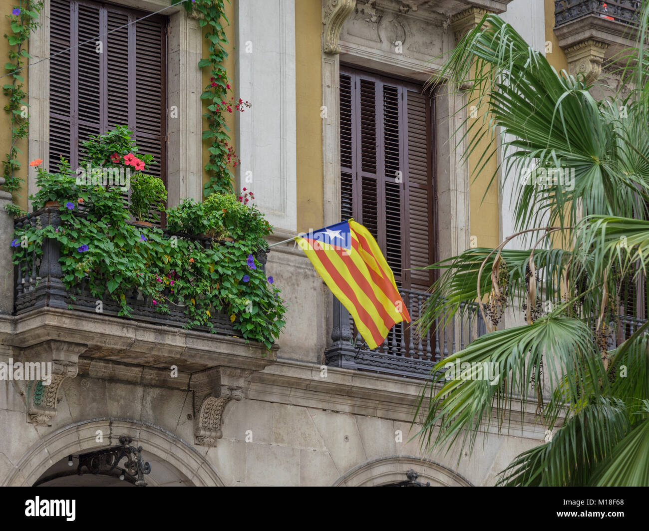 Drapeau catalan à la fenêtre,Barcelone,Espagne,Catalogne Banque D'Images