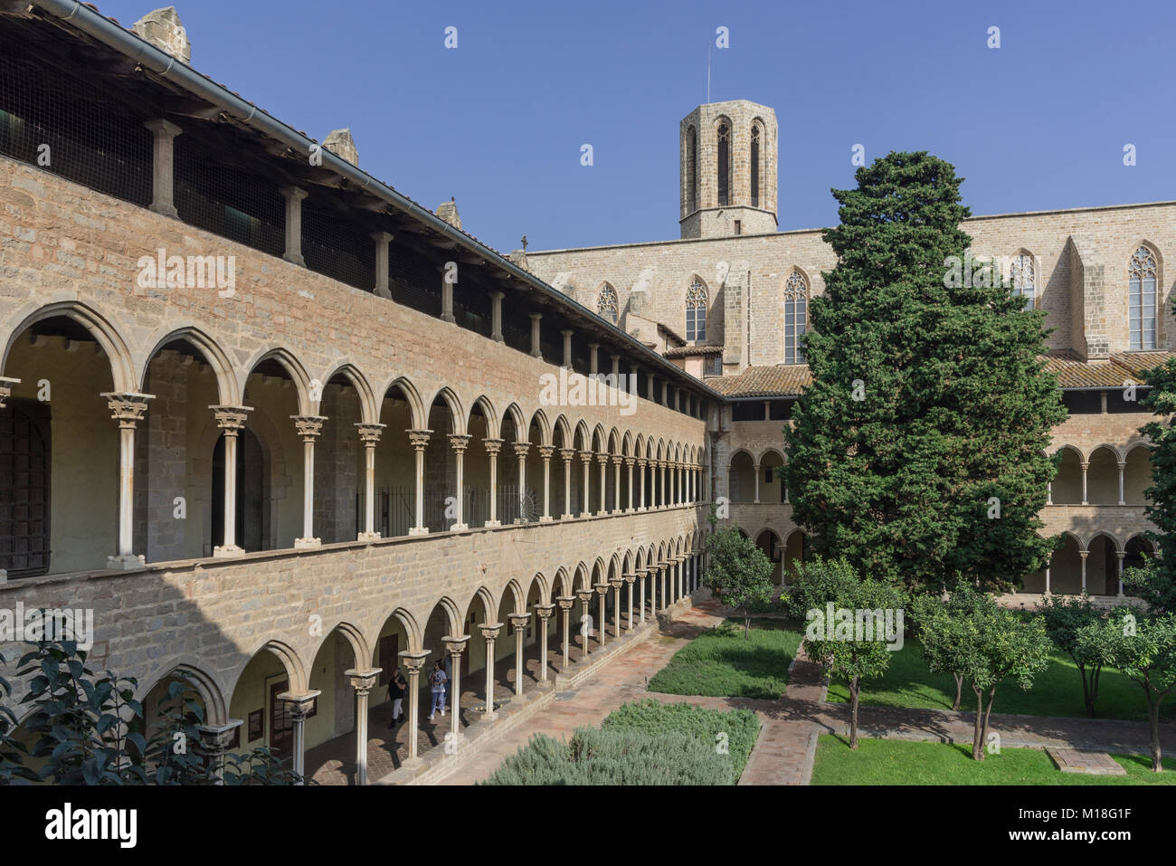 Cloître, Monastère de Pedralbes, Monestir de Pedralbes Barcelone,Espagne,Catalogne, Banque D'Images
