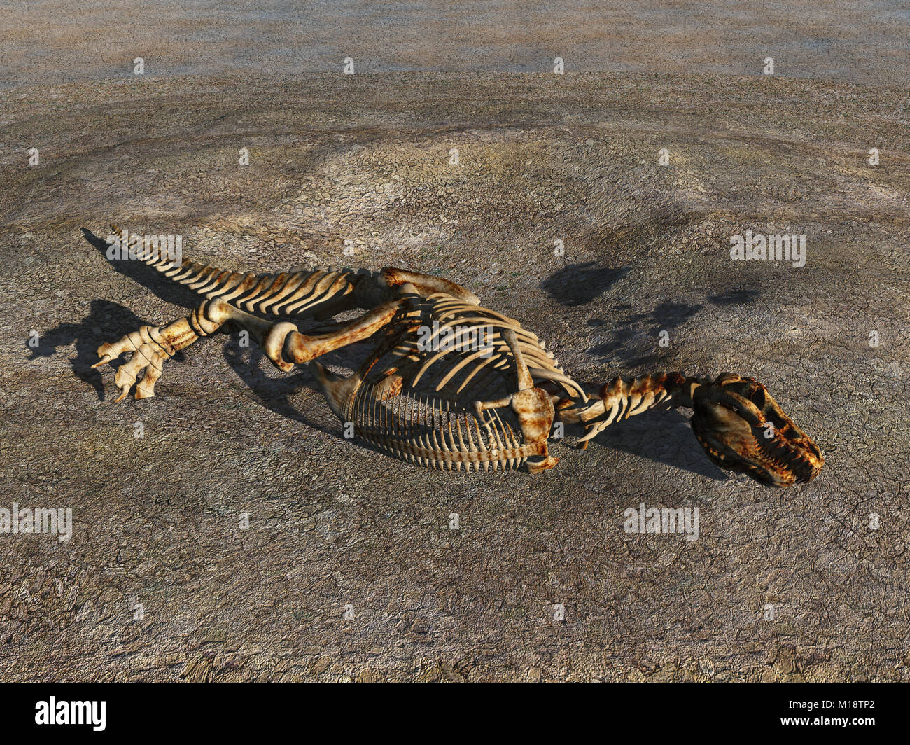 3d illustration d'un squelette de dinosaure Banque D'Images