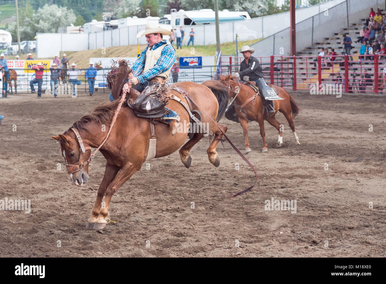Cowboy monte un cheval lors d'une selle à la 90e concours monte de Williams Lake Stampede, l'un des plus grands mouvements de panique en Amérique du Nord Banque D'Images