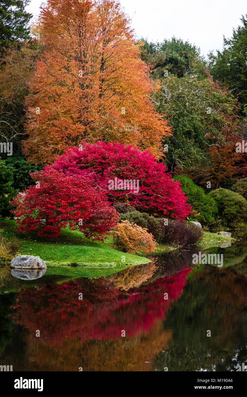 Jardin d'azalées Asticou   Northeast Harbor, Maine, USA Banque D'Images