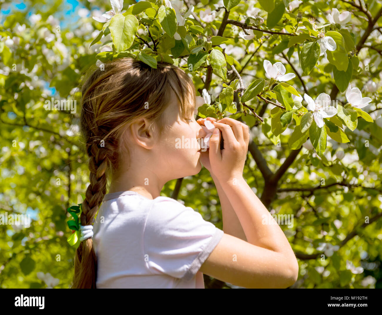 Jeune fille en fleurs fleurs dans schnuppert apple orchard Banque D'Images