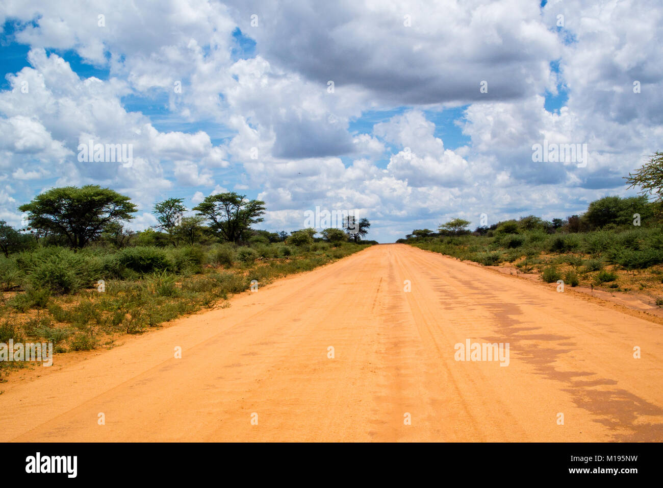 La D2433 route de terre à partir de la B1 juste au nord d'Otjiwarongo, Namibie Banque D'Images