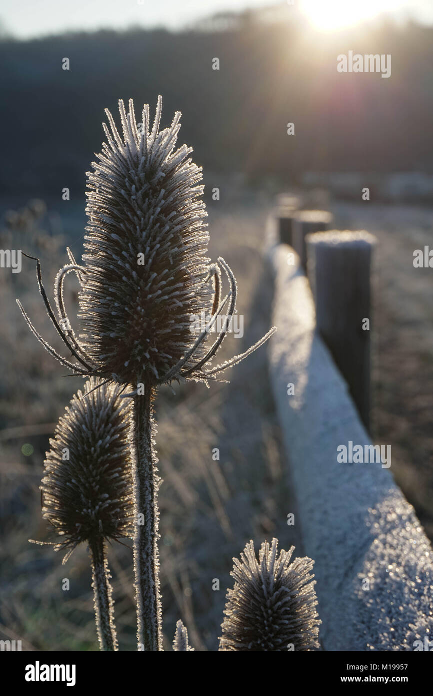 Un matin glacial dans Amberley Sussex de l'Ouest Banque D'Images