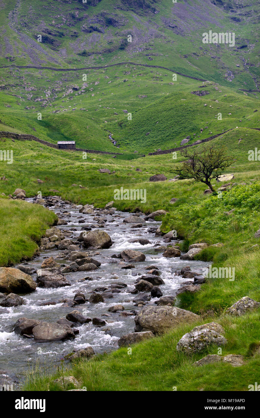 Un ruisseau de montagne pittoresque et typique de la vieille cabane et murs de pierres sèches près de la tête de Haweswater réservoir situé dans la vallée de Mardale, Cumbria, Royaume-Uni Banque D'Images