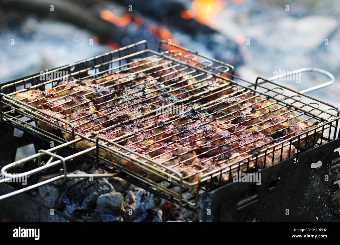 La viande, rôtie au feu, barbecue, pique-nique en plein air. Banque D'Images