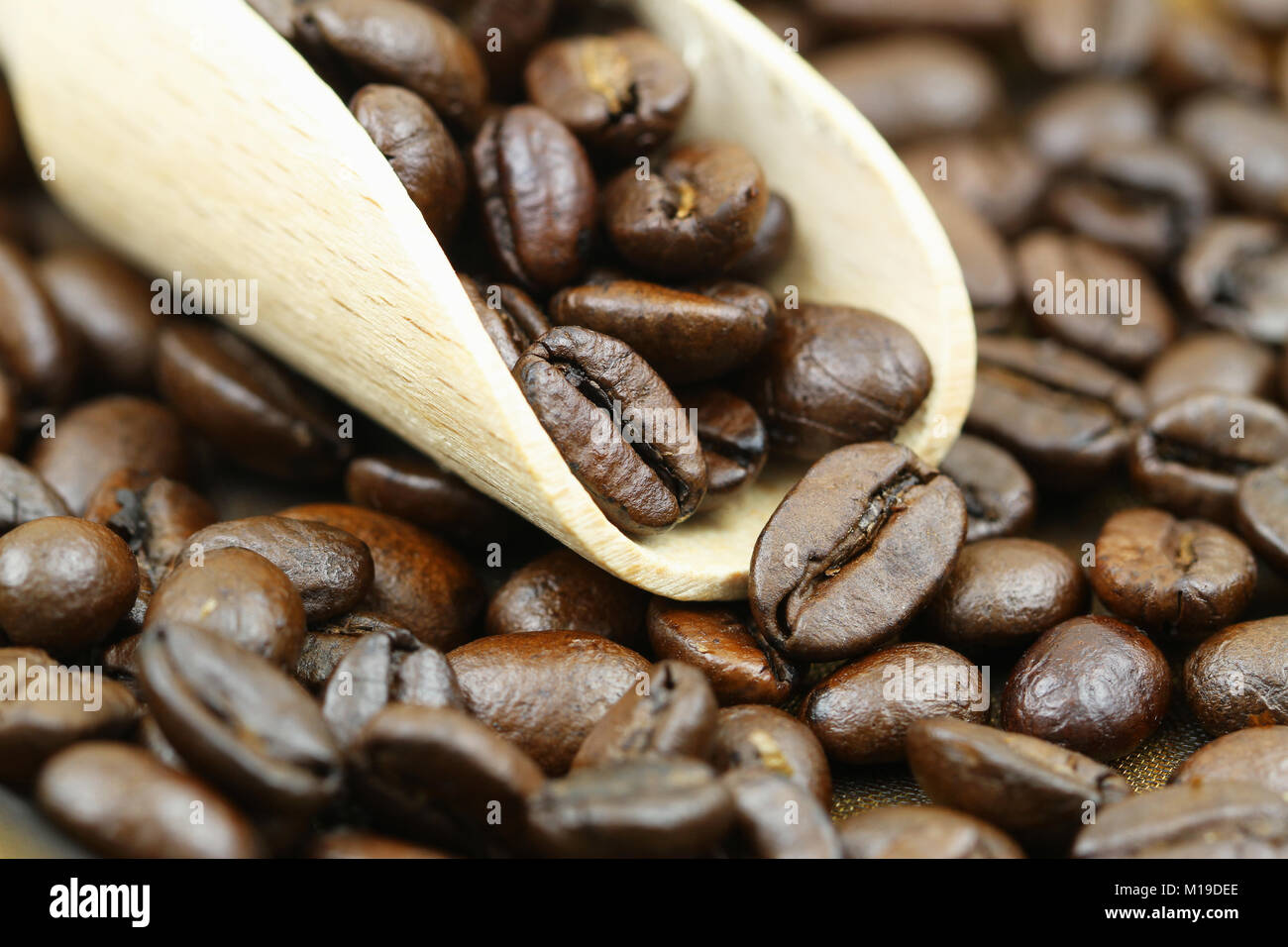 Les grains de café torréfiés sur scoop en bois, gros plan Banque D'Images