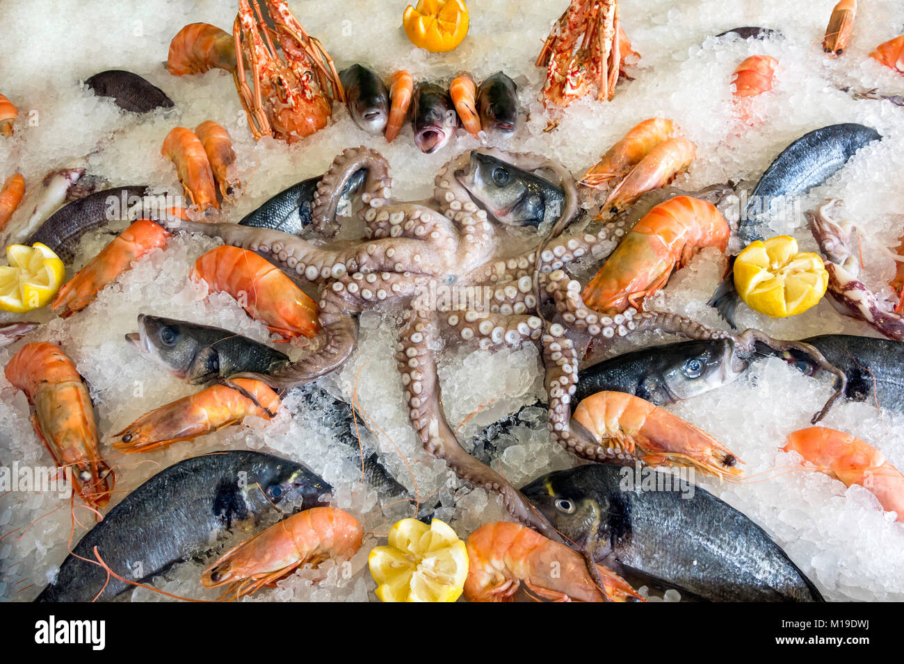 Sélection de fruits de mer Taverna sur la glace, le port de Rethymnon, Chania Rethimno (région), Rethimno Crete, Crète (Grèce), Banque D'Images Sélection de fruits de mer Taverna sur la glace, le port de Rethymnon, Chania Rethimno (région), Rethimno Crete, Crète (Grèce), Banque D'Images