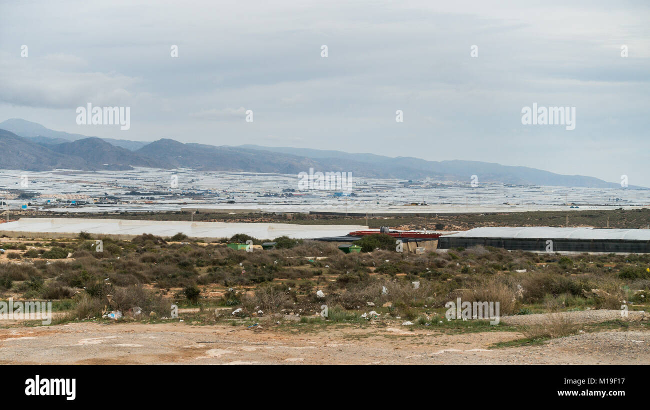 Invernaderos, Serres, serres en plastique pour le sol de cultures en Murcie, Espagne. Considéré comme un fléau sur le paysage Banque D'Images