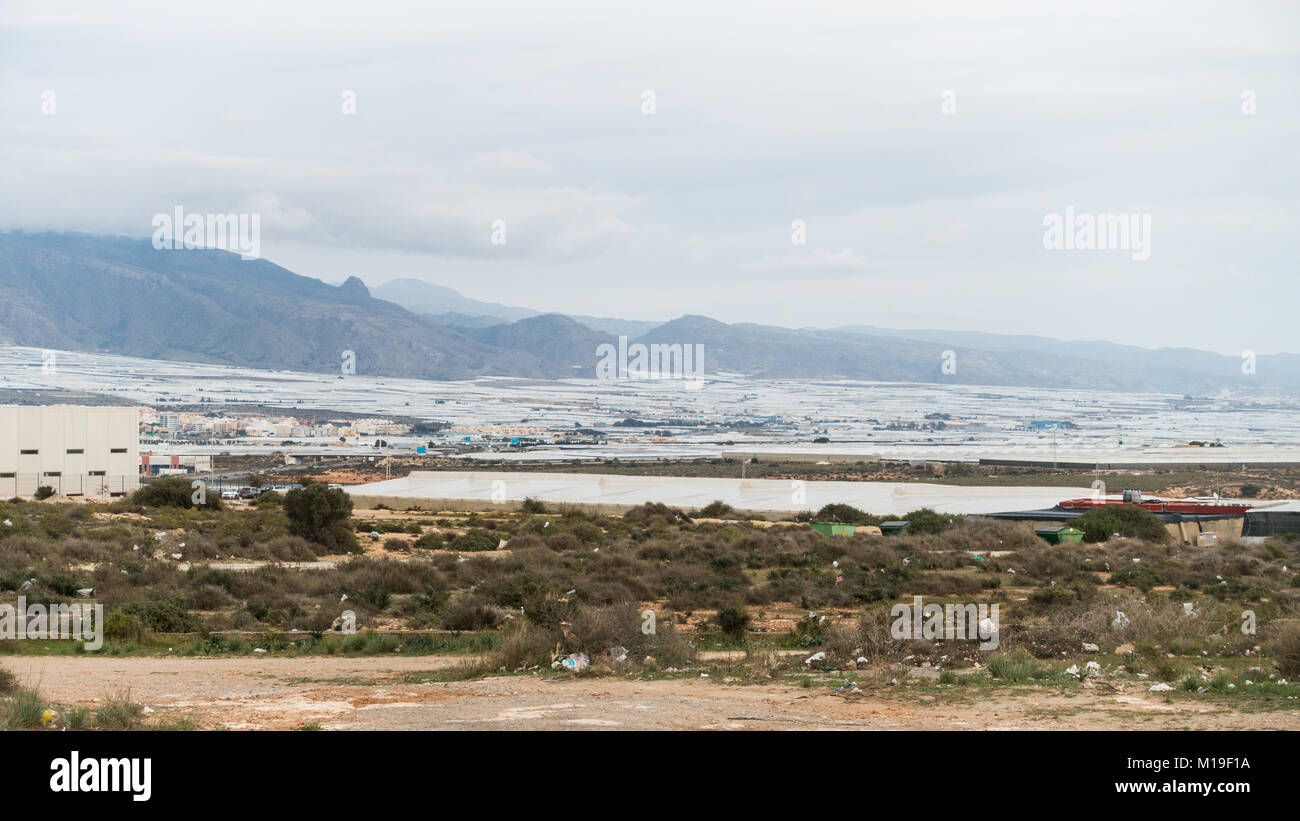 Invernaderos, Serres, serres en plastique pour le sol de cultures en Murcie, Espagne. Considéré comme un fléau sur le paysage Banque D'Images