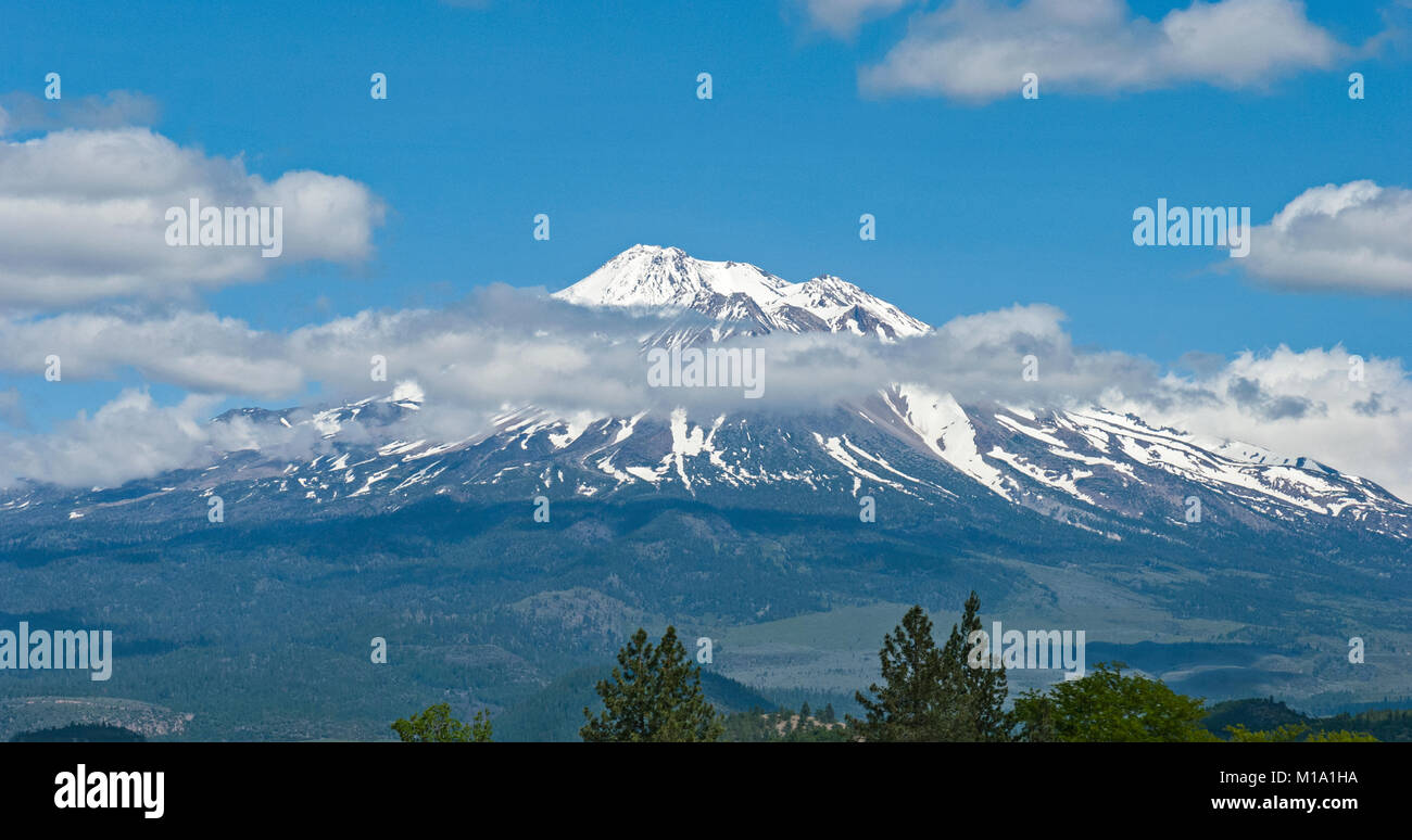 Mt Shasta, Californie à l'été avec ciel bleu et quelques nuages Banque D'Images