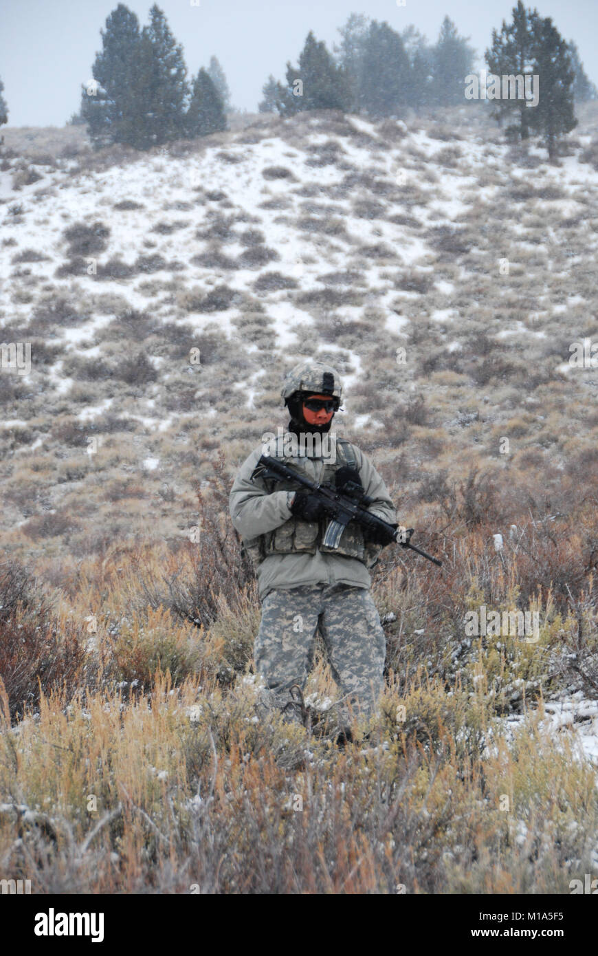 La CPS. Michael Olas de la 1-160ème Infanterie, Californie Army National Guard, effectue une patrouille de lumière pour des conditions de test, bataille de la charge et de couches de vêtements qu'elles éprouvent les prévisions météo en constante évolution au cours de l'Opération Red Snow, le 15 février 2012. Les troupes vont bientôt en tête de temps aussi faible que 3 degrés avec les rafales de vent de près de 30 mph. (Photo de Garde Nationale d'armée/Master Sgt. Paul Wade) Banque D'Images