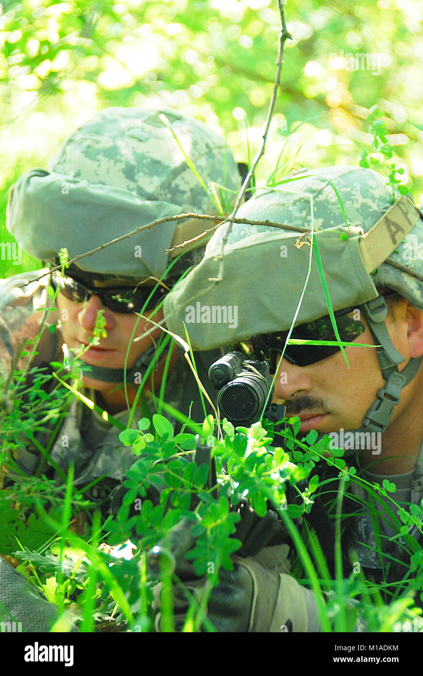 090609-A-9115W-038 soldats la configuration d'un poste d'observation et d'écoute au cours de leur chef guerrier bien sûr dans les bois autour de Camp Bondsteel, au Kosovo. (U.S. Photo de l'armée/Sgt. 1st. Classe Paul Wade) Banque D'Images
