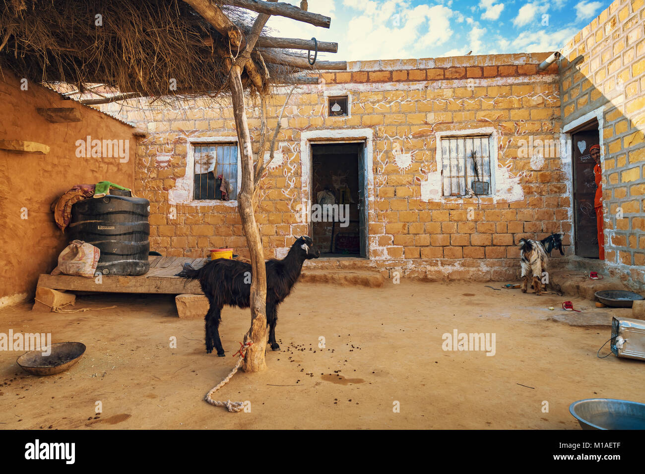 Village Rajasthani près de désert du Thar avec brique maisons en torchis et les chèvres. Banque D'Images