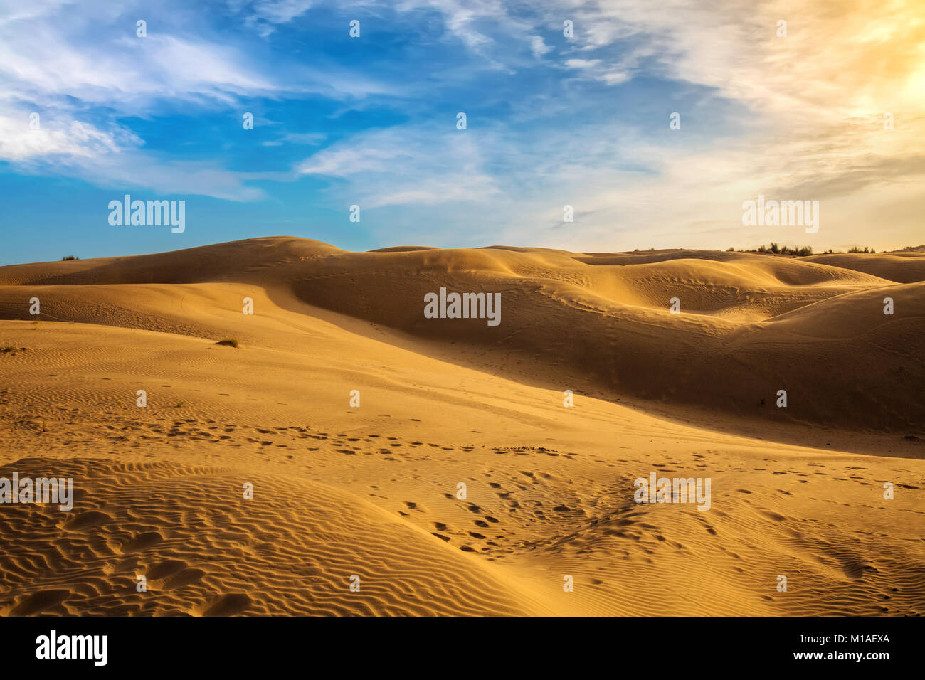 Désert du Thar coucher de soleil avec des dunes de sable à Jaisalmer, Rajasthan Inde. Banque D'Images