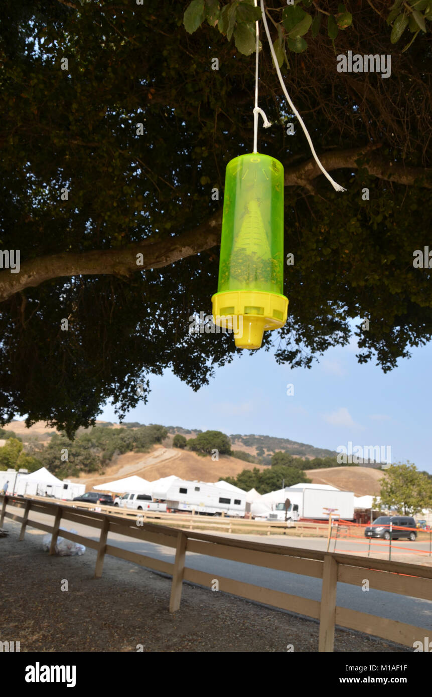 La Garde Nationale de Californie 578e bataillon du génie de la brigade et du 40e Bataillon de soutien Bridage déployer comme équipage main à l'appui de l'Soberanes incendie dans le comté de Monterey. Près de 400 soldats vivent au Toro County Park camp de base dans Salinas pendant leurs 29 jours, où tout, de l'équipement de sécurité incendie, l'hébergement et de loisirs est prévue pour eux. Chaque matin, les équipages des véhicules militaires voyage à divers points de chute sur la ligne de feu, de Carmel à Big Sur, pour travailler comme les pompiers et aider à contenir l'incendie 70 000 acres. Une fois sur un site, les soldats d'enfiler leur équipement de protection et de commencer Banque D'Images