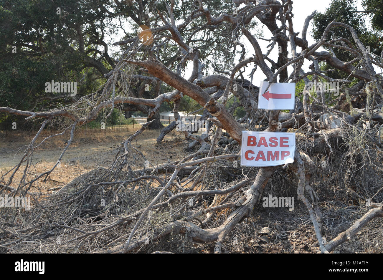 La Garde Nationale de Californie 578e bataillon du génie de la brigade et du 40e Bataillon de soutien Bridage déployer comme équipage main à l'appui de l'Soberanes incendie dans le comté de Monterey. Près de 400 soldats vivent au Toro County Park camp de base dans Salinas pendant leurs 29 jours, où tout, de l'équipement de sécurité incendie, l'hébergement et de loisirs est prévue pour eux. Chaque matin, les équipages des véhicules militaires voyage à divers points de chute sur la ligne de feu, de Carmel à Big Sur, pour travailler comme les pompiers et aider à contenir l'incendie 70 000 acres. Une fois sur un site, les soldats d'enfiler leur équipement de protection et de commencer Banque D'Images